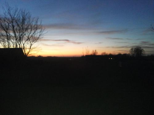 a sunset over a field with a tree in the foreground at Lägenhet Lillisgården in Vallåkra