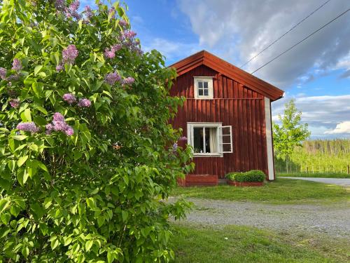 Gallery image of Lilla Backstugan in Nora