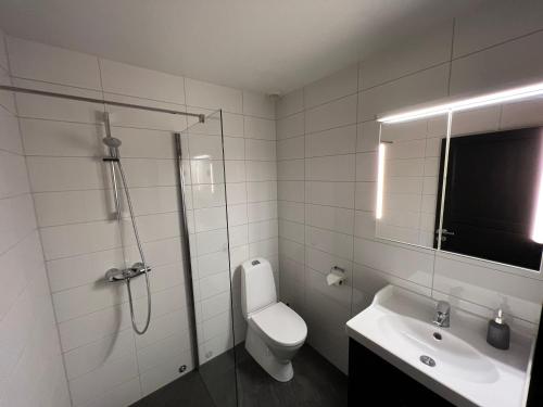 a bathroom with a shower and a toilet and a sink at Hemsetunet Apartments in Hemsedal