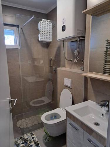 a bathroom with a shower and a toilet and a sink at Panorama View apartman in Bjelašnica