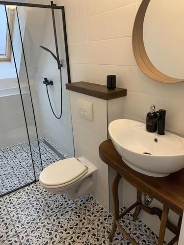 a bathroom with a toilet and a sink and a shower at Pirk Vendégház Vászoly in Vászoly