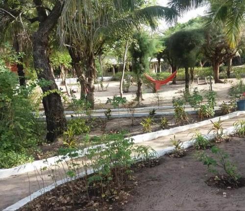 - un parc avec un hamac au milieu des arbres dans l'établissement Abenebolong, à Abémé