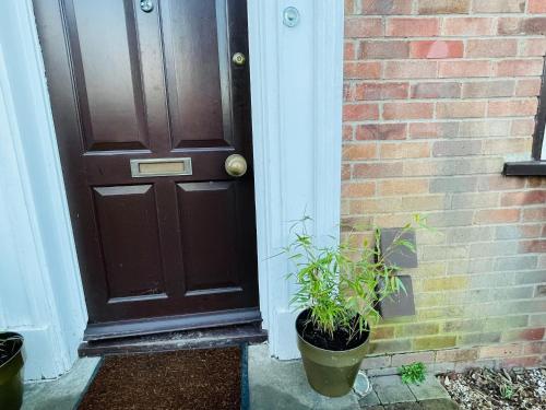 a brown door with a plant next to a brick wall at Super King Bed Suite, Executive office, fast WiFi, free parking in St Ives