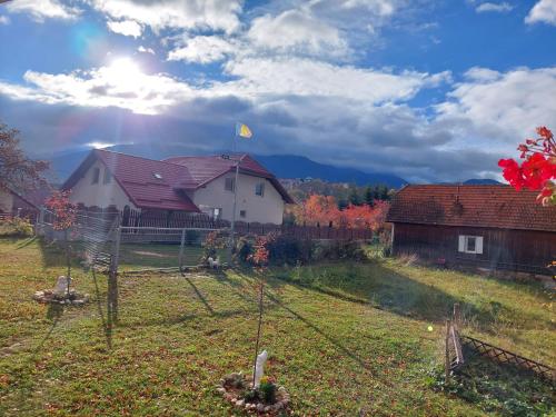 a yard with a house and a fence at Căsuța din poveste in Sohodol