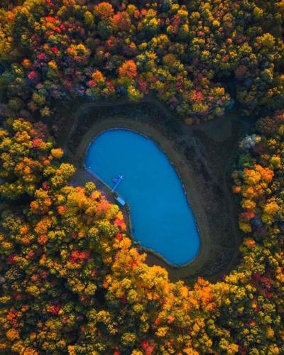 an aerial view of a blue pond in a forest at Letchworth Farm Guesthouses in Nunda