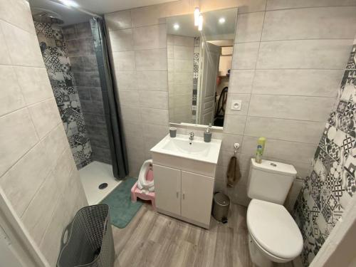 een badkamer met een toilet, een wastafel en een douche bij Appartement individuel au rdc d’une maison in Le Péage-de-Roussillon