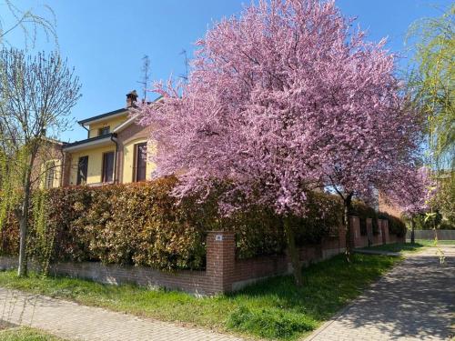 een boom met roze bloemen voor een huis bij SUITE TRAVEL HOME in Modena