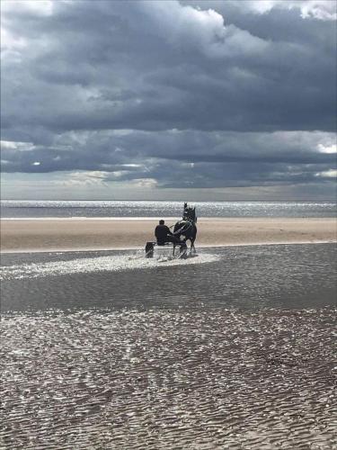 a couple of people riding horses on the beach at Lemon Tree Lodge in Morpeth