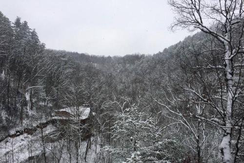 a snow covered forest with trees and a mountain at Little Cabin All To Yourself in Sevierville