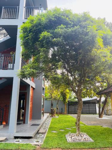 a tree in the grass in front of a building at Coastal Hideaway in Midigama