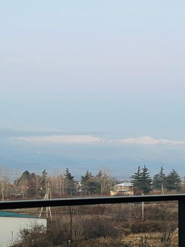 Gallery image of Green Hotel ANG in Tʼelavi