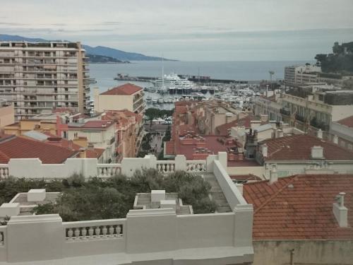 Ambassador-Monaco photo 26