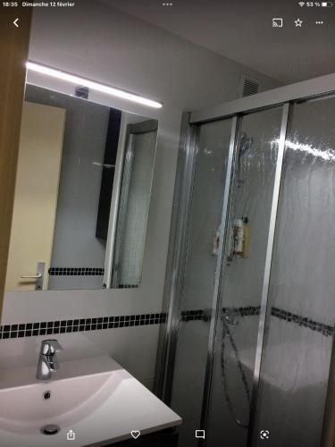 une salle de bain avec douche et lavabo dans l'établissement Le P’tit Littoral, au Grau-dʼAgde