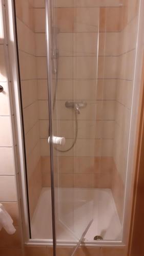 y baño con ducha y puerta de cristal. en MELODY APARTMAN en Zalakaros