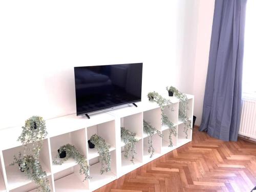 Brand New Spacious & Stylish Aptmt in City-Centre
