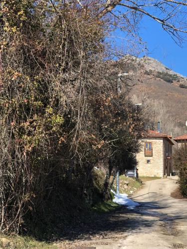 un arbre devant une maison avec une montagne dans l'établissement Genciana, Casa Rural con encanto en La Montaña Leonesa, 