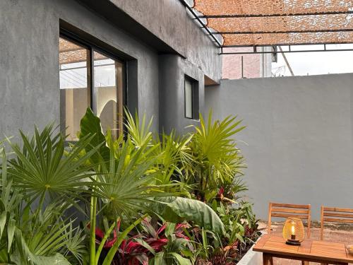 坎昆的住宿－Xaman - Boutique Studios，庭院里种有植物,设有木桌和长凳