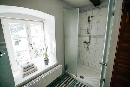 Phòng tắm tại Villa with Sauna - Rustic and Charm Mill Marof