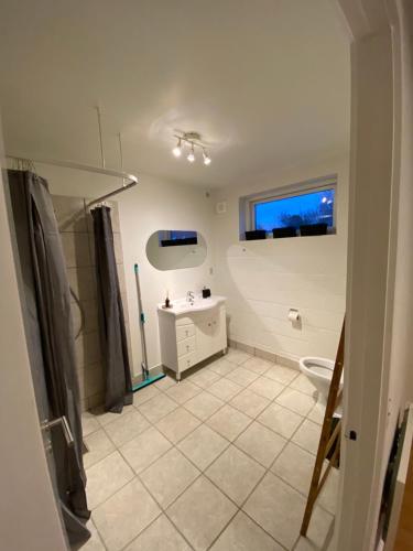 ナクスコウにあるFiskerhuset langøのバスルーム(洗面台、トイレ付)、窓が備わります。