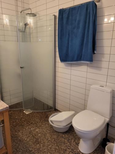 a bathroom with a toilet and a shower with a blue towel at Country Cottage in Dafni, Limni in Limne
