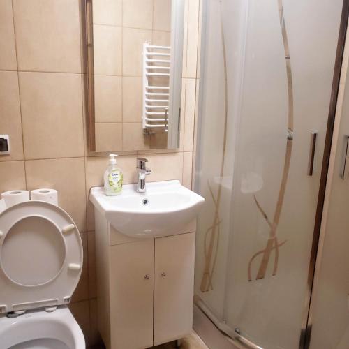 a bathroom with a toilet and a sink and a shower at U Huraja in Groń