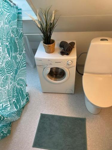 ein Badezimmer mit einem WC und einer Pflanze auf dem Tisch in der Unterkunft Lantligt läge nära Göteborg och flygplatsen in Landvetter