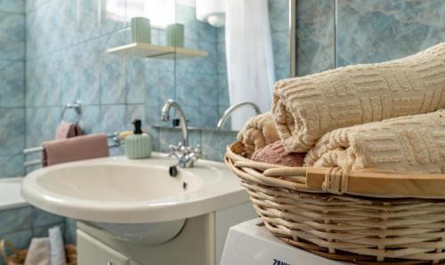 - Baño con lavabo y cesta de toallas en Holiday Home Sviba en Varaždinske Toplice