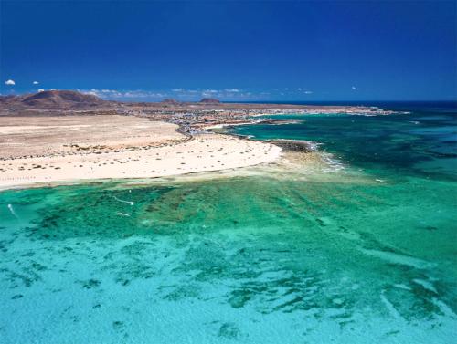 una vista aérea de la playa y del océano en Oasis Fuerteventura, en Corralejo