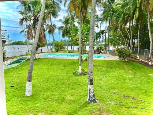 un patio verde con palmeras y una piscina en Casa Mahi, en El Progreso