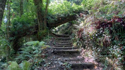 a trail in the jungle with stone steps at Kastorio-Villy's Guest House in Kastórion