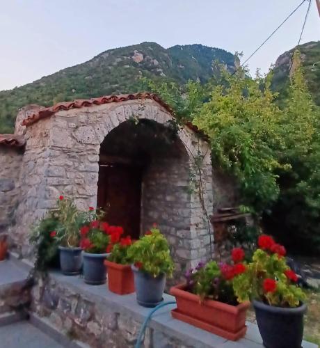 a group of potted plants on a stone fireplace at Kastorio-Villy's Guest House in Kastórion