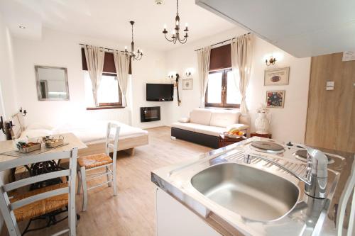 a kitchen and living room with a sink and a couch at Hotel Katrca in Ljubljana