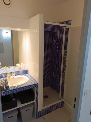 une salle de bain avec un lavabo et une douche dans l'établissement Le Corinthe studio apartment, à Antibes