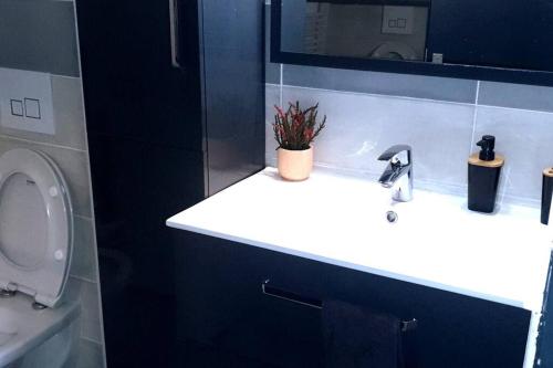蒙特利馬爾的住宿－COSY CLIM CENTRE VILLE，一间带水槽、卫生间和镜子的浴室