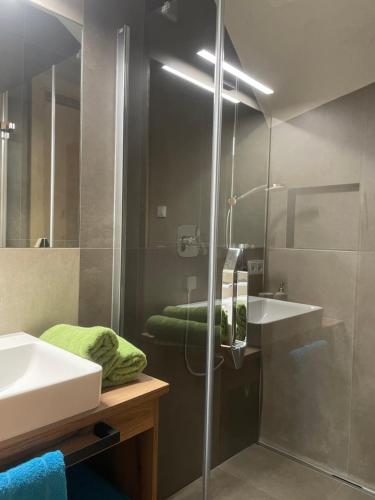 een badkamer met een douche en een wastafel bij Ferienwohnung Traumblick -Familie Seber in Mittersill