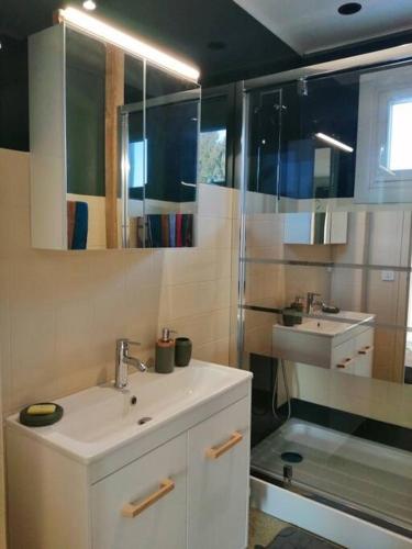 une salle de bain avec un lavabo et une douche dans l'établissement Maison au calme à 5 minutes du centre-ville 2 nuitées minimum, à Saint-Pourçain-sur-Sioule
