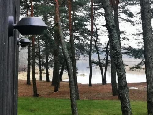 a bird feeder on a pole next to trees at GaujaUpe in Gauja