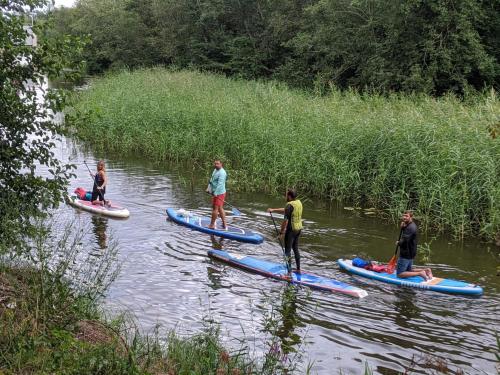 een groep mensen op paddleboards in het water bij GaujaUpe in Gauja