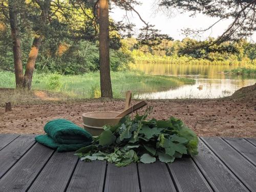a wooden table with a plant and a pot at GaujaUpe in Gauja