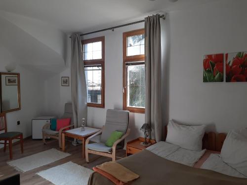 - une chambre avec un lit, des chaises et des fenêtres dans l'établissement Magda Vendégház, à Tokaj