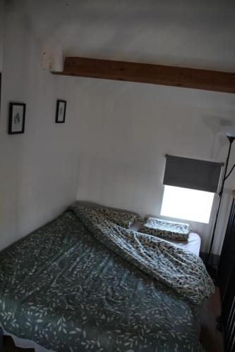 une chambre avec un lit vert et une fenêtre dans l'établissement Idéal voyageurs & travailleurs cherchant du calme, à Manglieu