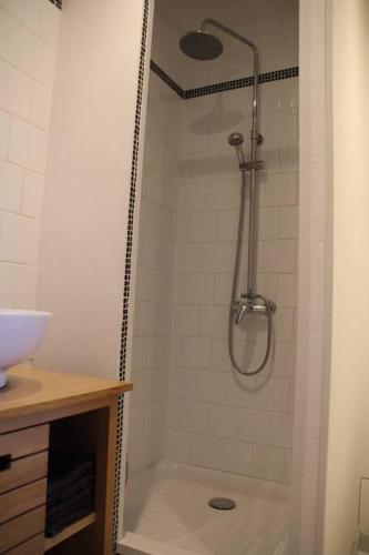 une salle de bain avec une douche avec un lavabo et des toilettes dans l'établissement Idéal voyageurs & travailleurs cherchant du calme, à Manglieu