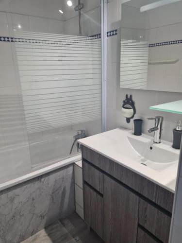 a bathroom with a sink and a shower at Appartement avec vue sur le lac in Vieux-Boucau-les-Bains