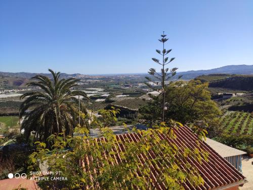 a view of a vineyard from the roof of a house at Casa Rosas in Vélez-Málaga