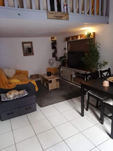 een woonkamer met een bank en een tv bij Le Cocon in Sète