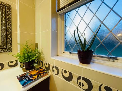 ein Badezimmerfenster mit zwei Topfpflanzen auf einem Regal in der Unterkunft Super King Bed Suite, Executive office, fast WiFi, free parking in St Ives