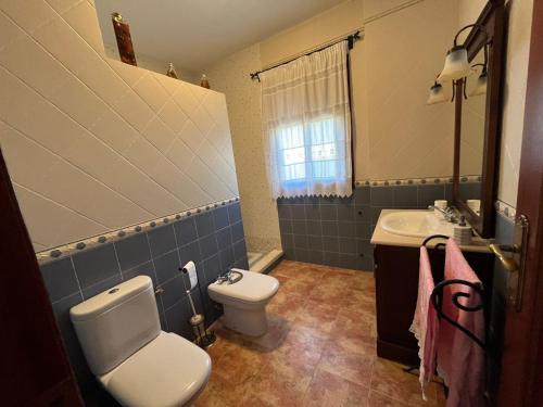 y baño con aseo y lavamanos. en Casa La Era de Abdalajis-Caminito del Rey, en Valle de Abdalajís