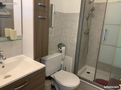 une salle de bain avec toilettes, lavabo et douche dans l'établissement APPARTEMENT COSY FRED FLAMANTS ROSES, à Balaruc-les-Bains