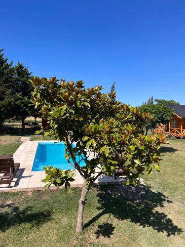 Cabañas Puesta del Sol – Photos 2