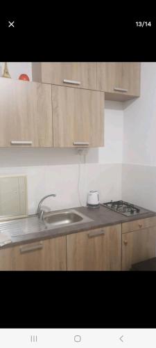 a kitchen with wooden cabinets and a sink at City Large Studio in Limassol